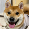 いでゅみ