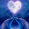 🌙月羽🌙