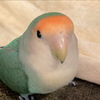 ‌　‌　‌　‌　‌　‌　‌　‌　‌ ‌‌‌‌ ‌薄着