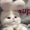 ナ