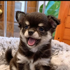 てっちゃん　