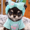 てっちゃん