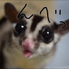 あき@( ̳- ·̫ - ̳ˆ )◞