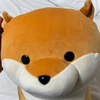 夢見屋🐕🌕