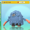 モジャ