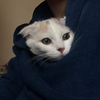 ゆきしか勝たん！