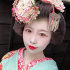 あきた舞妓 緒叶羽(おとは)🐈
