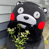 ぽぽたん