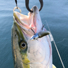 🎣大ちゃん丸🎣