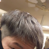 (訛)ゴッティ本垢