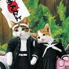 なめんなよ