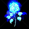 バラ🌹