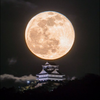 ひで