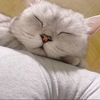 うに