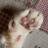 りりり