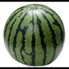 すいか🍉