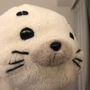 たまごです…