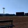 長嶋みな