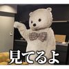 ゆー⤴︎くん🧂💻🎹🫐🦍🏀🐶