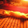 こたつねこ