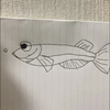 メダカ🐠