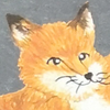 (ｶ ˙˘˙ｨ)/