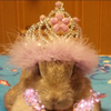 👑じんのまる🐇💗🤤🌬