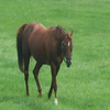 ムラマシ🤓🏇💹