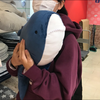 ℕ𝔸𝕆