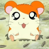 はむちゃんせんぱい