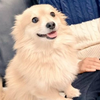 　なぁちゃん