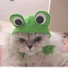 Pちゃん