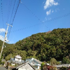 ねこうもり1123