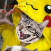 ガガガガチさん