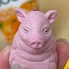 【琢麿呂】🐽🙆‍♀←ファンマではない！