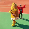 ﾀｹﾉｺﾝ