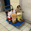 ランドルト玉木