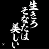 美人枠 専用💕(;//́Д/̀/)ﾊｧﾊｧ様