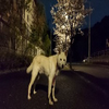 ぷ～んでり