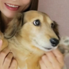 ここ太郎ー🐶🍙