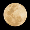 🌕moon