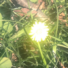 ヒカルだよ
