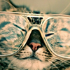 👓👘メガネ推し🐱👓