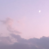 tsukino🌙💖