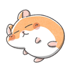 ハム🐹ハム🍑