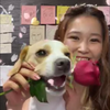 えりたむ🌹🐶まいまい激推し🐶🥦