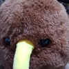 ういぞう🥝🍍🎶