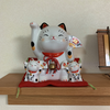 まねきねこ🐱ฅ👑🐨💖
