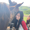 陽毬ひまり🐎☀️🍀#UMAGIRL