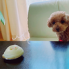 ふじ